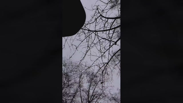 SlutboyBen  21-12-2022